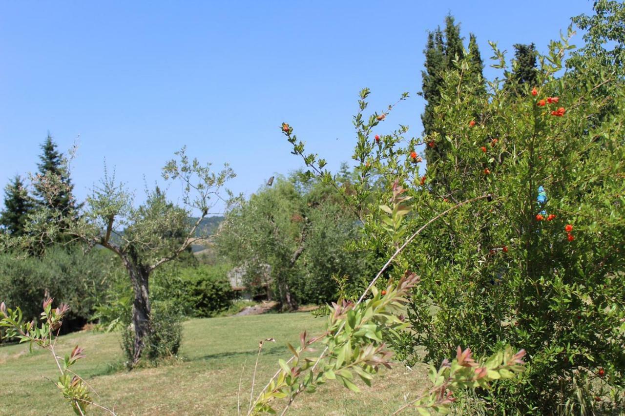 Villa La Casa Di Eva Castel Viscardo Exterior foto